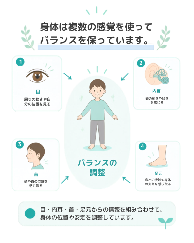 目・内耳・首・足元の情報を組み合わせて身体のバランスを調整する図